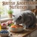 British Shorthair Nutrition