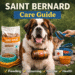 Saint Bernard Care